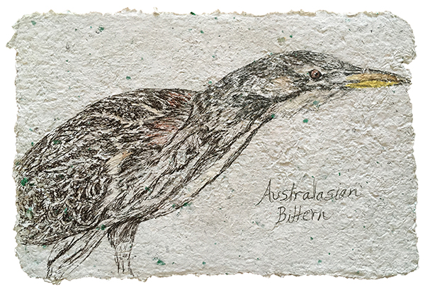 Australian Bittern