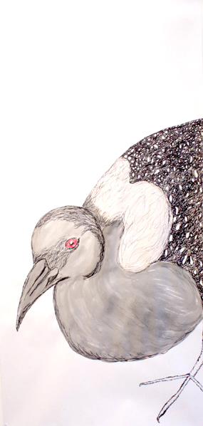 Black Rail