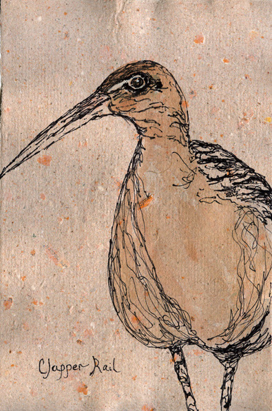 Clapper Rail