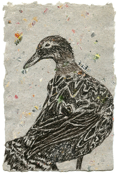 Lyason Duck