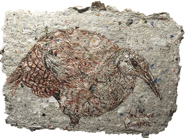 Woodhen