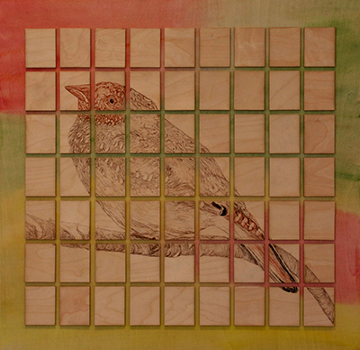 Extinct: Mount Lofty Star Finch, 1998
