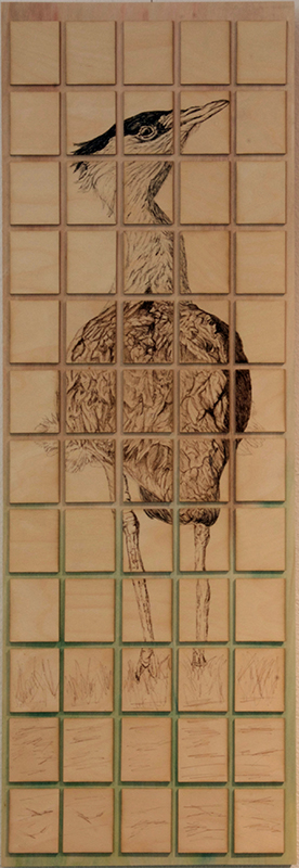 Critical: Indian Bustard