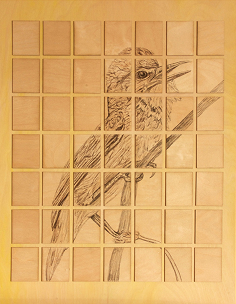 Reed Warbler