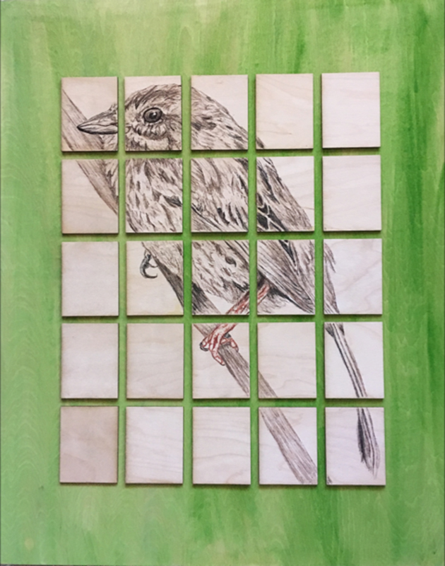 Extinct: Santa Barbara Sparrow