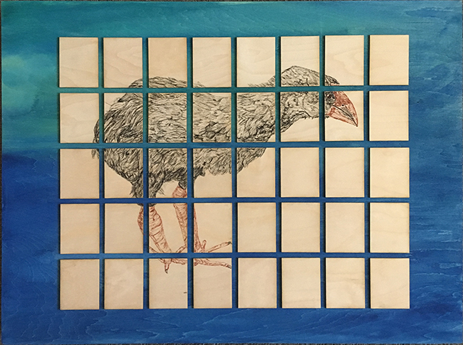 Takahe