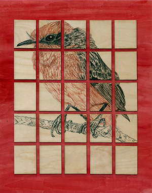 Vermillion Flycatcher