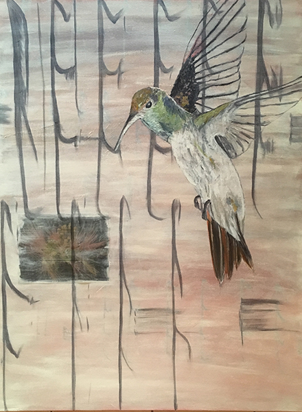 Mangrove Humming bird