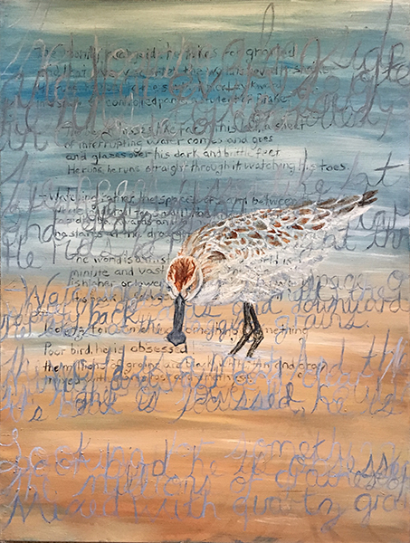 Spoon Bill Sandpiper