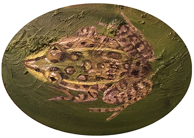 Ramsey Canyon leopard frog