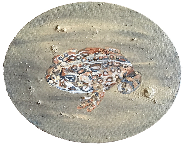 Yosemite Toad