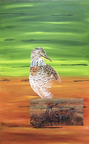 Plains Worbler