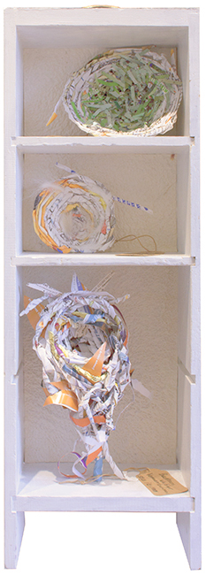 Endangered Nests