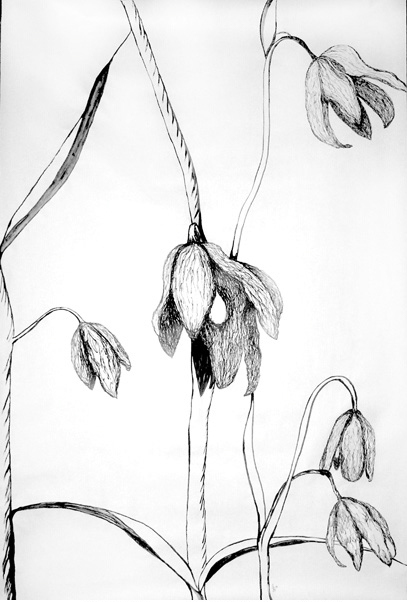 Bells