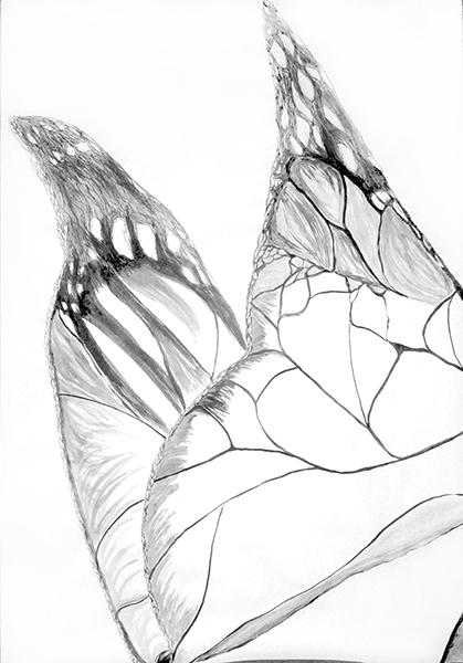 Monarch
