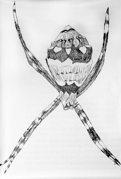 Sliver Spider
