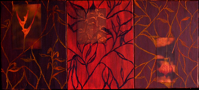 Flowers and Vines