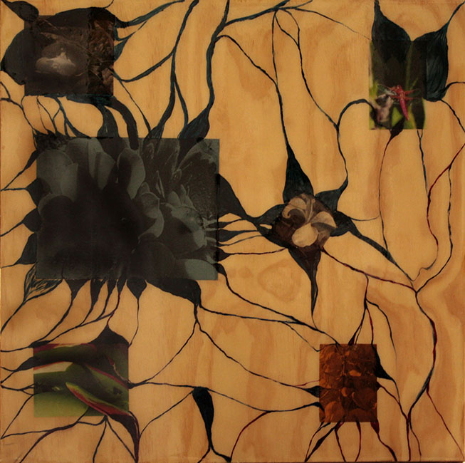 Neural Net