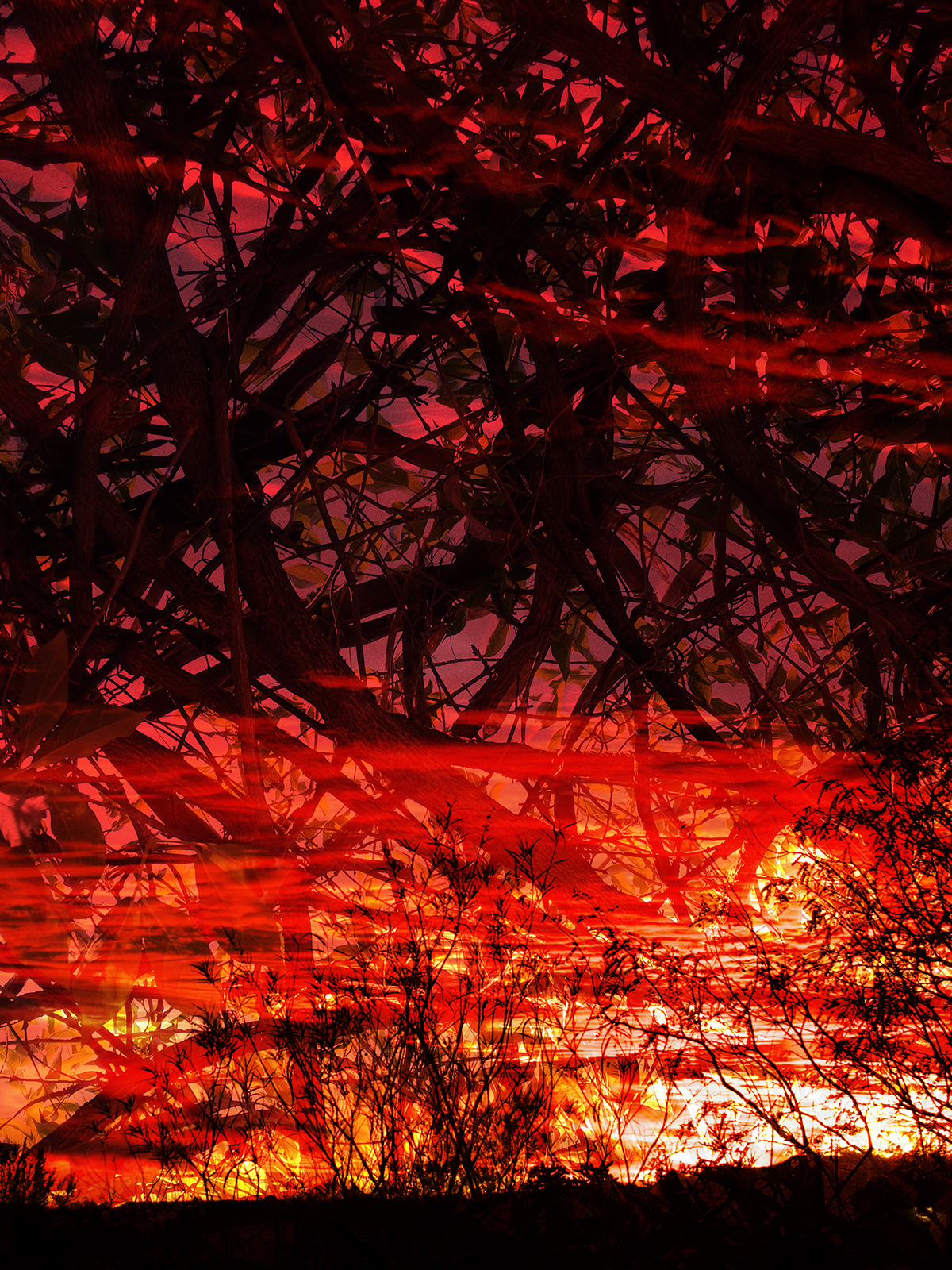 Ablaze