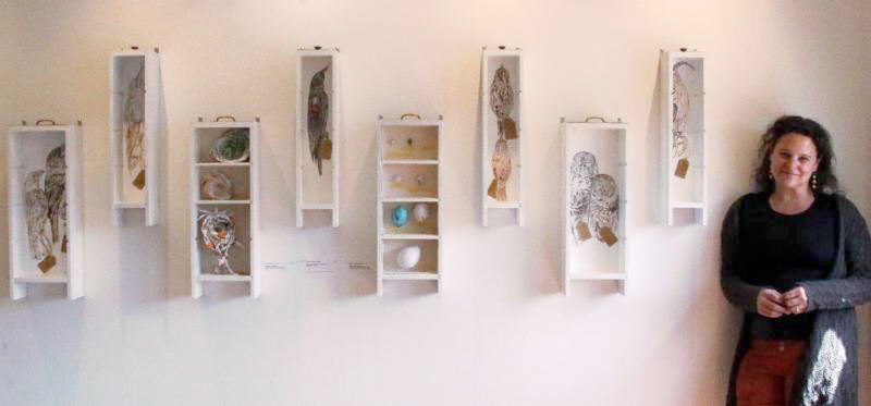 Specimen Drawers